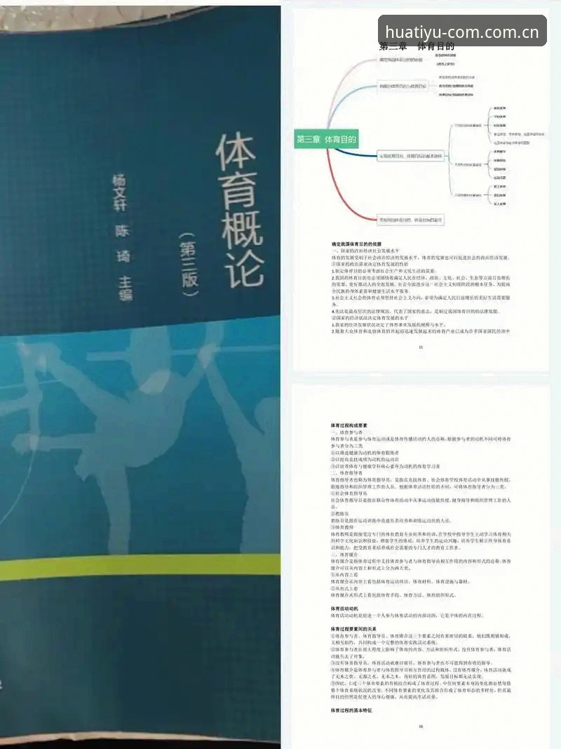 华体育体验必备：从赛事直播到数据洞察的全面解析